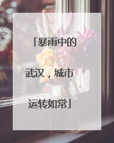 暴雨中的武汉，城市运转如常