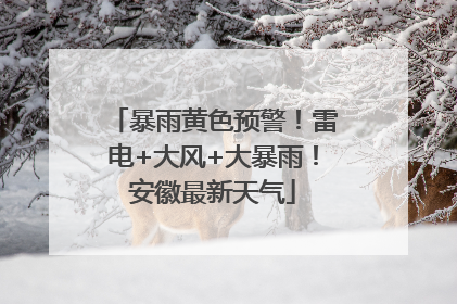 暴雨黄色预警！雷电+大风+大暴雨！安徽最新天气