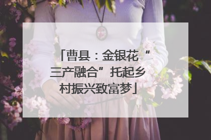 曹县：金银花“三产融合”托起乡村振兴致富梦