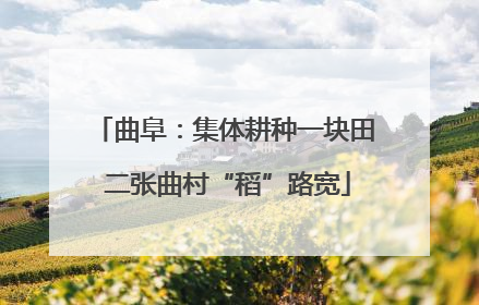 曲阜：集体耕种一块田 二张曲村“稻”路宽