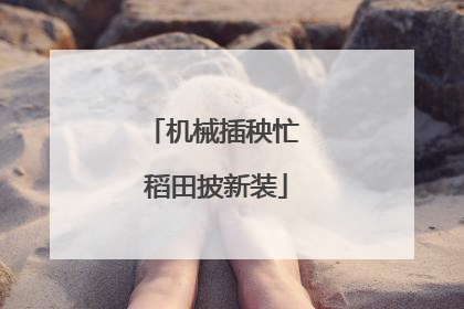 机械插秧忙 稻田披新装