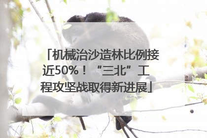 机械治沙造林比例接近50%！“三北”工程攻坚战取得新进展