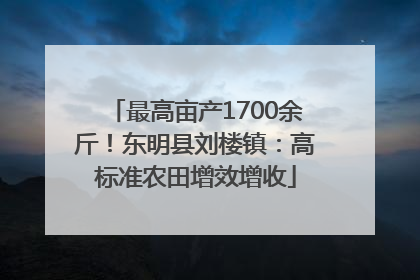 最高亩产1700余斤！东明县刘楼镇：高标准农田增效增收