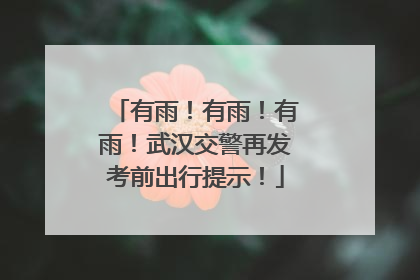 有雨！有雨！有雨！武汉交警再发考前出行提示！