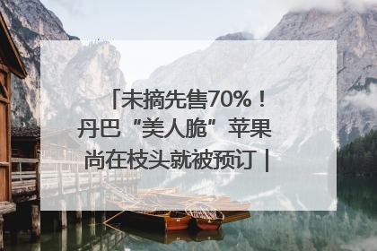 未摘先售70%！丹巴“美人脆”苹果尚在枝头就被预订｜长征路上看四川