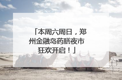 本周六周日，郑州金融岛药膳夜市狂欢开启！