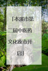 本溪市第二届中医药文化夜市开启