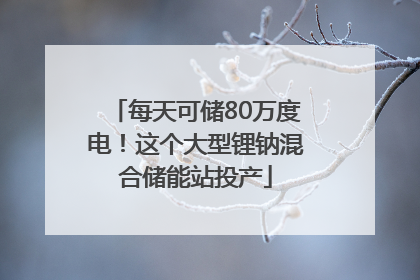 每天可储80万度电！这个大型锂钠混合储能站投产