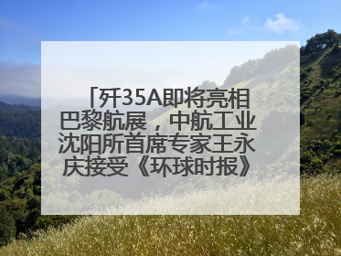歼35A即将亮相巴黎航展，中航工业沈阳所首席专家王永庆接受《环球时报》专访：未来数量可以有很多