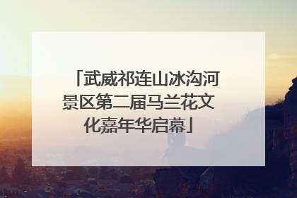武威祁连山冰沟河景区第二届马兰花文化嘉年华启幕