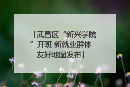 武昌区“新兴学院”开班 新就业群体友好地图发布