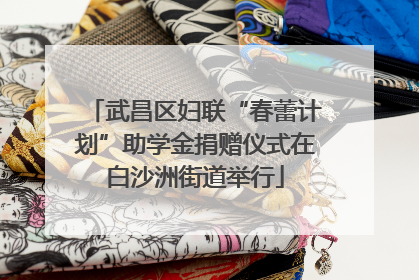武昌区妇联“春蕾计划”助学金捐赠仪式在白沙洲街道举行