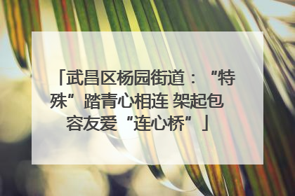 武昌区杨园街道：“特殊”踏青心相连 架起包容友爱“连心桥”