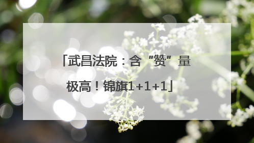 武昌法院：含“赞”量极高！锦旗1+1+1