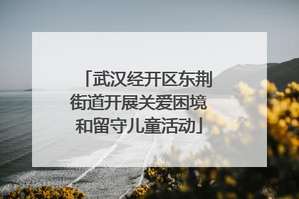 武汉经开区东荆街道开展关爱困境和留守儿童活动