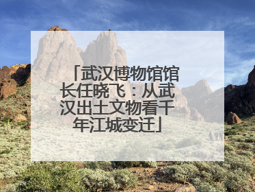 武汉博物馆馆长任晓飞：从武汉出土文物看千年江城变迁