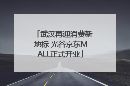 武汉再迎消费新地标 光谷京东MALL正式开业
