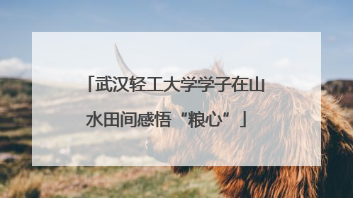 武汉轻工大学学子在山水田间感悟“粮心”