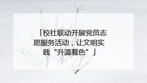 校社联动开展党员志愿服务活动，让文明实践“升温着色”