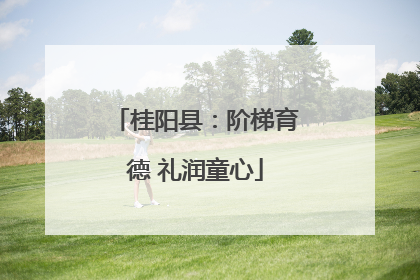 桂阳县：阶梯育德 礼润童心