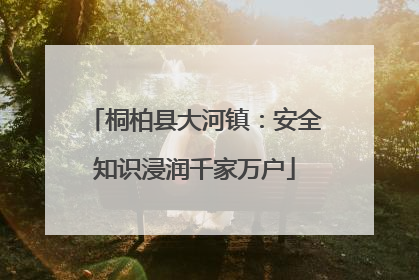 桐柏县大河镇：安全知识浸润千家万户