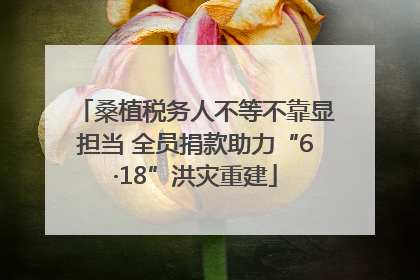 桑植税务人不等不靠显担当 全员捐款助力“6·18”洪灾重建