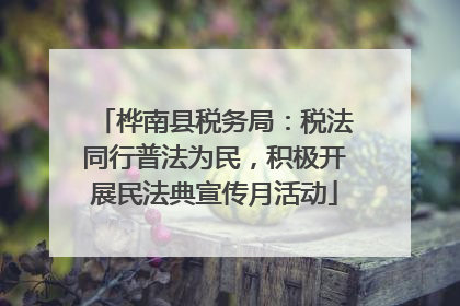 桦南县税务局：税法同行普法为民，积极开展民法典宣传月活动