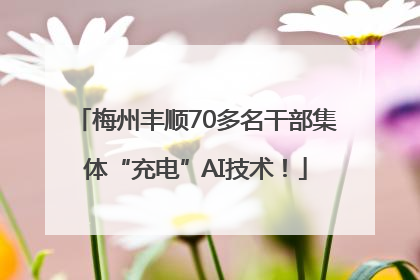 梅州丰顺70多名干部集体“充电”AI技术！