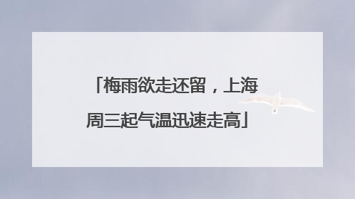 梅雨欲走还留，上海周三起气温迅速走高