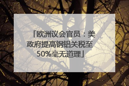 欧洲议会官员：美政府提高钢铝关税至50%毫无道理