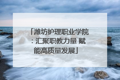 潍坊护理职业学院：汇聚职教力量 赋能高质量发展