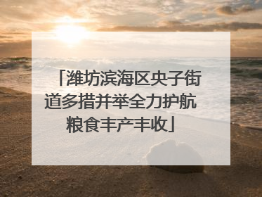 潍坊滨海区央子街道多措并举全力护航粮食丰产丰收