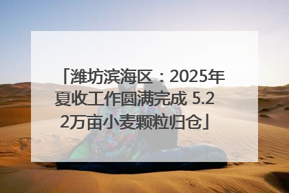 潍坊滨海区：2025年夏收工作圆满完成 5.22万亩小麦颗粒归仓