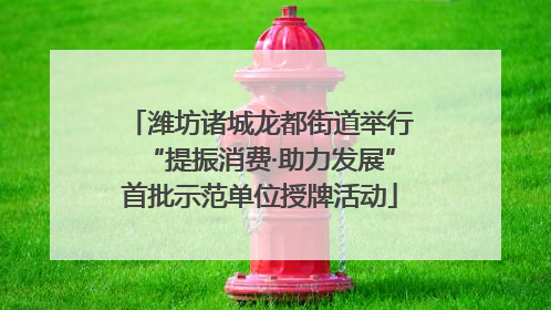 潍坊诸城龙都街道举行“提振消费·助力发展”首批示范单位授牌活动