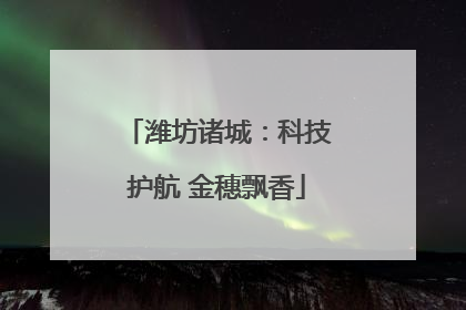 潍坊诸城：科技护航 金穗飘香