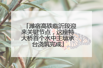 潍宿高铁临沂段迎来关键节点，这座特大桥首个水中主墩承台浇筑完成