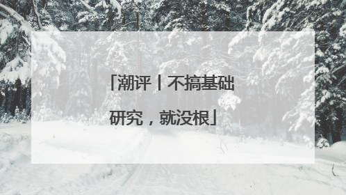 潮评丨不搞基础研究，就没根