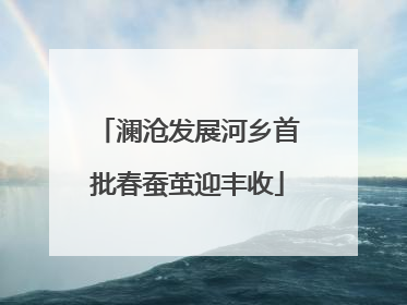 澜沧发展河乡首批春蚕茧迎丰收