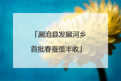 澜沧县发展河乡首批春蚕茧丰收