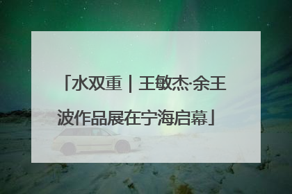 水双重｜王敏杰·余王波作品展在宁海启幕