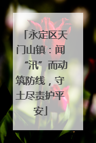 永定区天门山镇：闻“汛”而动筑防线，守土尽责护平安