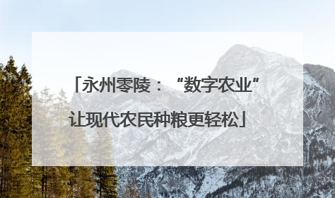 永州零陵：“数字农业”让现代农民种粮更轻松