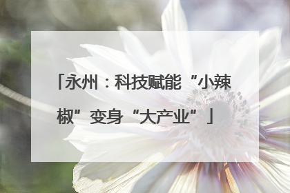 永州：科技赋能“小辣椒”变身“大产业”