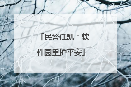 民警任凯：软件园里护平安