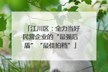 江川区：全力当好民营企业的“最强后盾”“最佳拍档”