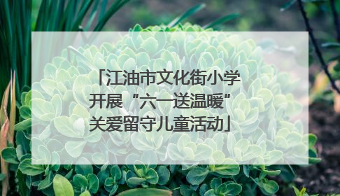江油市文化街小学开展“六一送温暖”关爱留守儿童活动