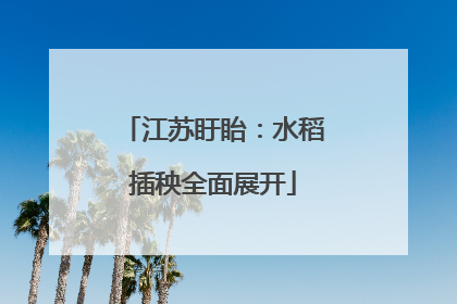 江苏盱眙：水稻插秧全面展开