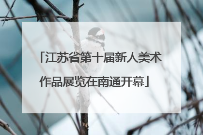 江苏省第十届新人美术作品展览在南通开幕