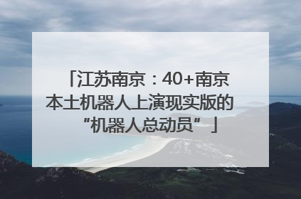 江苏南京：40+南京本土机器人上演现实版的“机器人总动员”