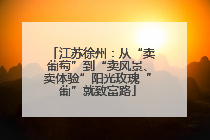 江苏徐州：从“卖葡萄”到“卖风景、卖体验”阳光玫瑰“葡”就致富路